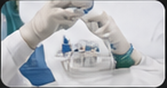 Bushu Pharma